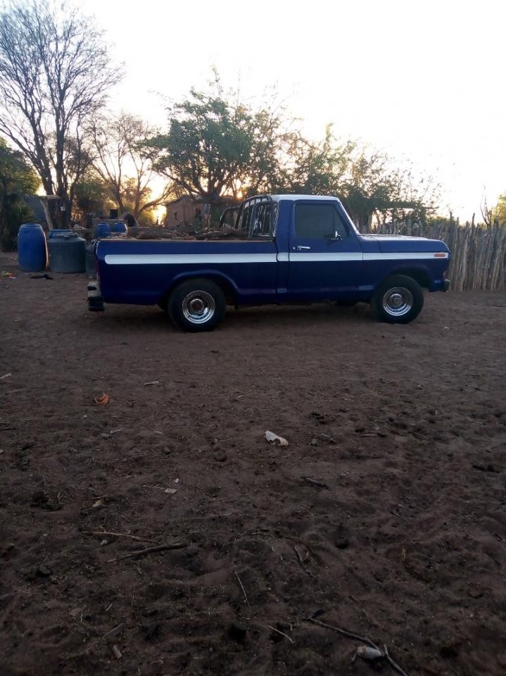 Miniatura 9