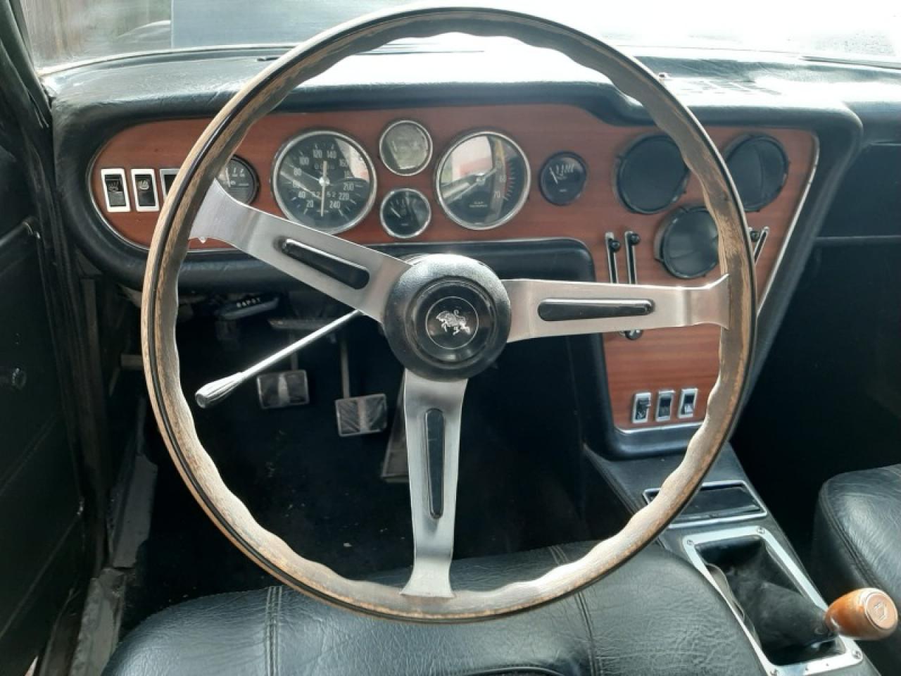 Miniatura 9