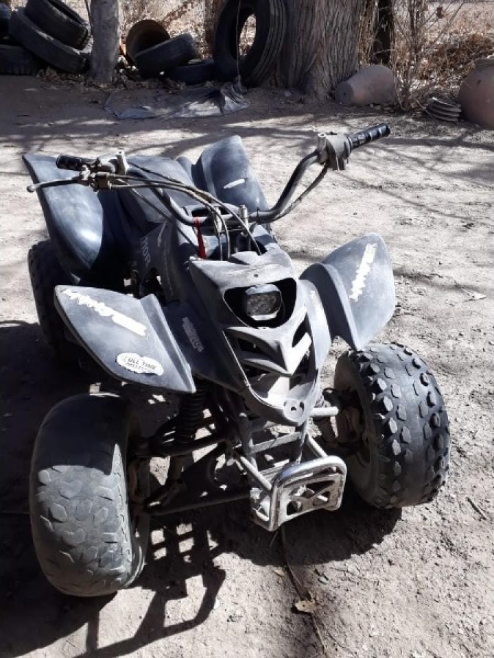 Panther 110 Cc No Permuto