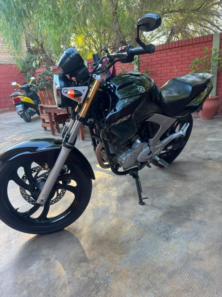 Miniatura 4