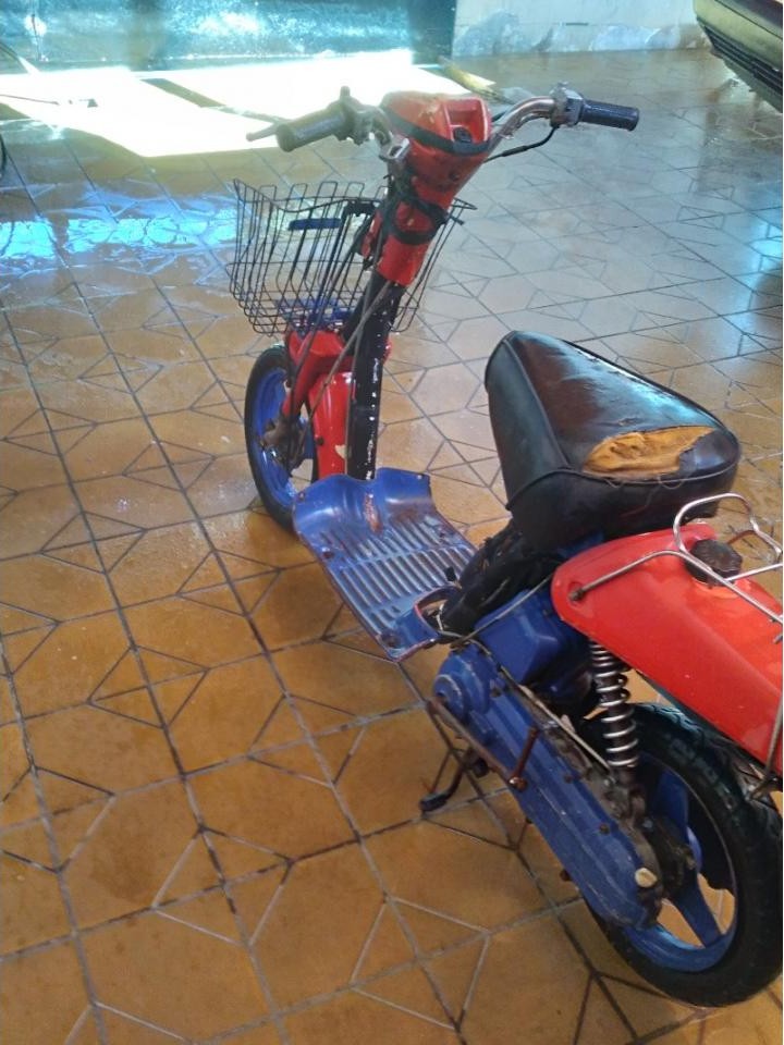 Miniatura 5