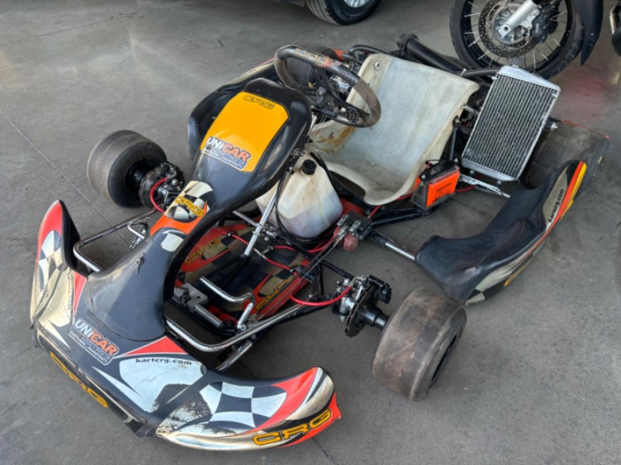 Karting Dd2 Motor Rotax Chasis Crg 2016