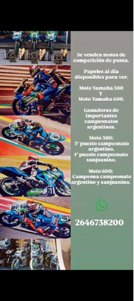 Miniatura 9