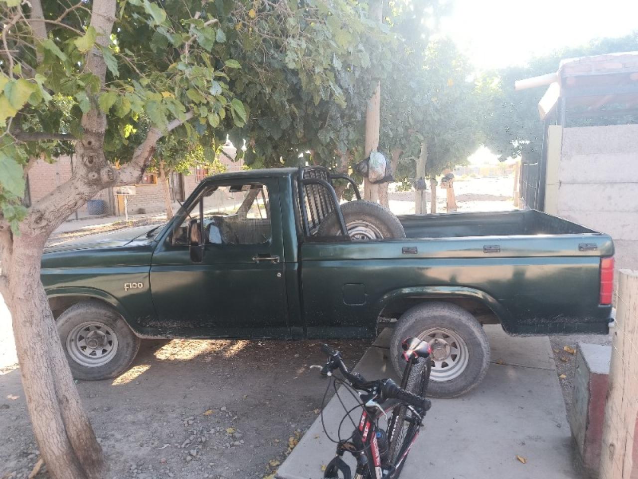 Ford F100