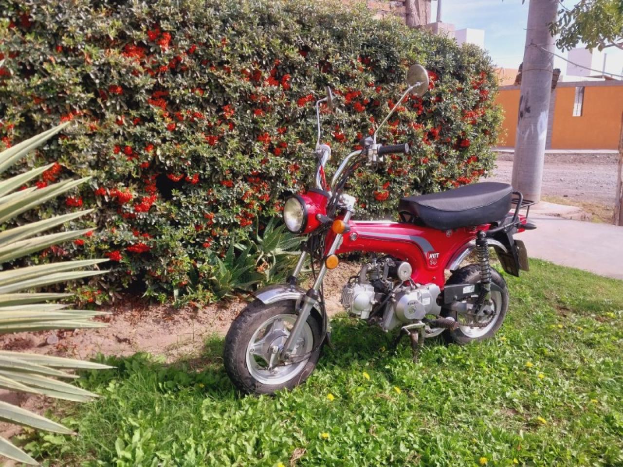 Zanella Hot 90.