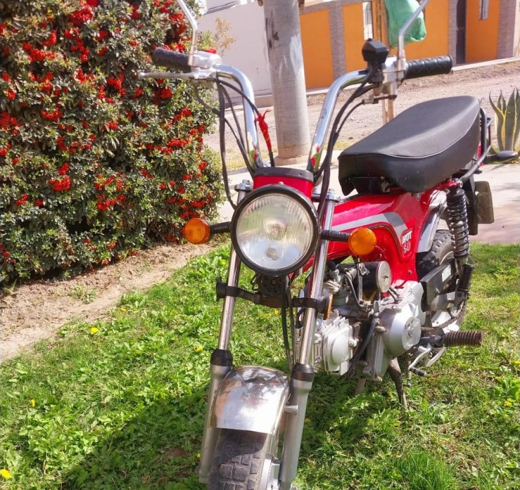 Miniatura 3