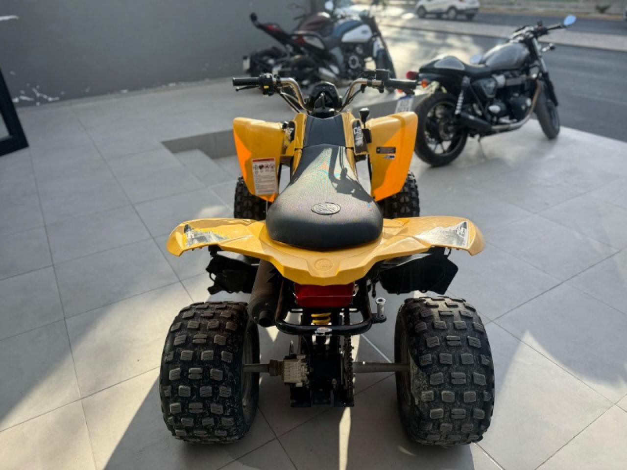 Miniatura 6