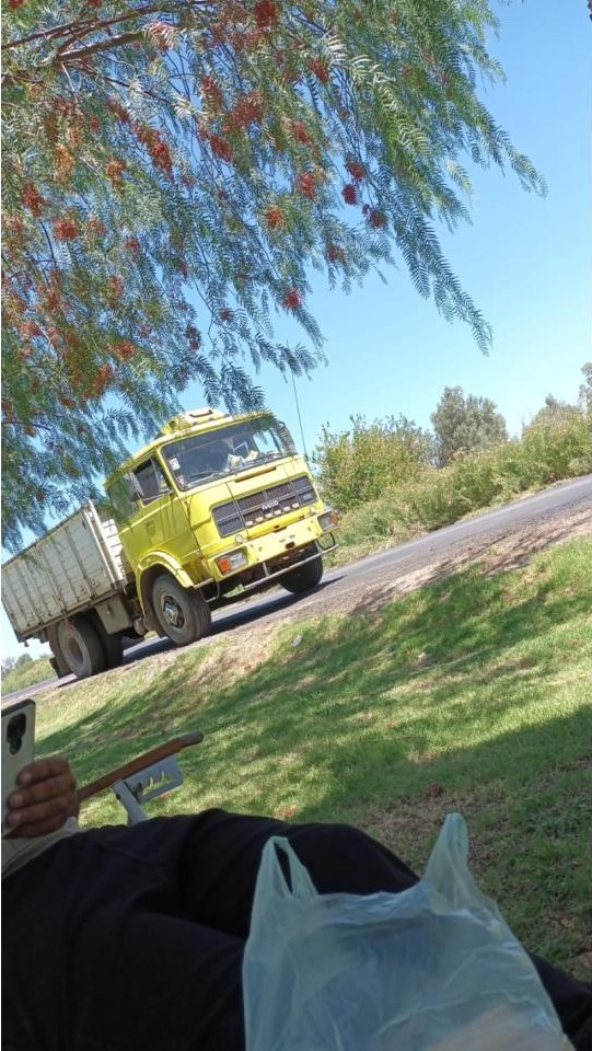Fiat 619