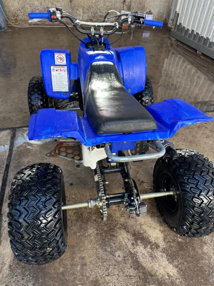 Miniatura 10