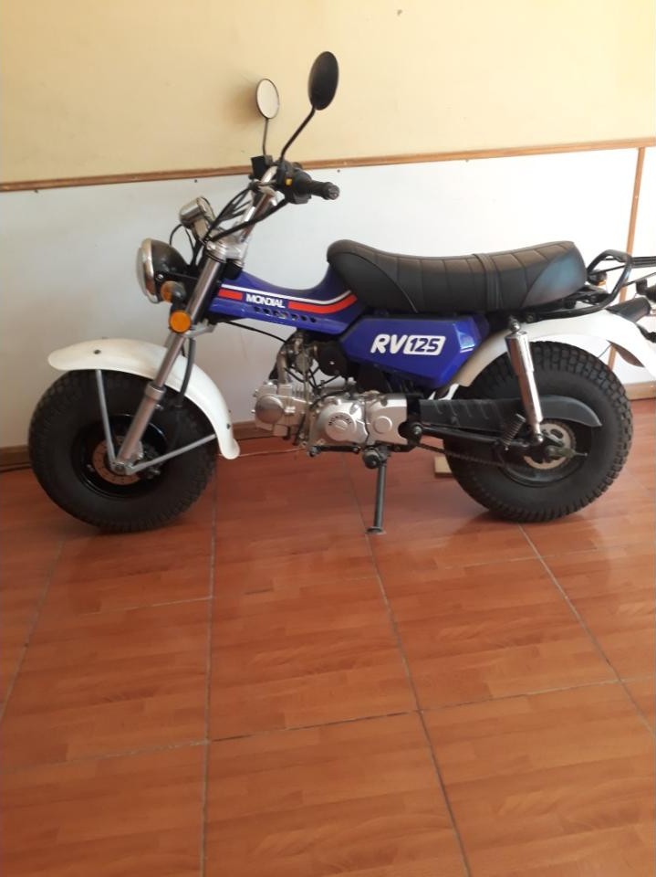 Miniatura 6