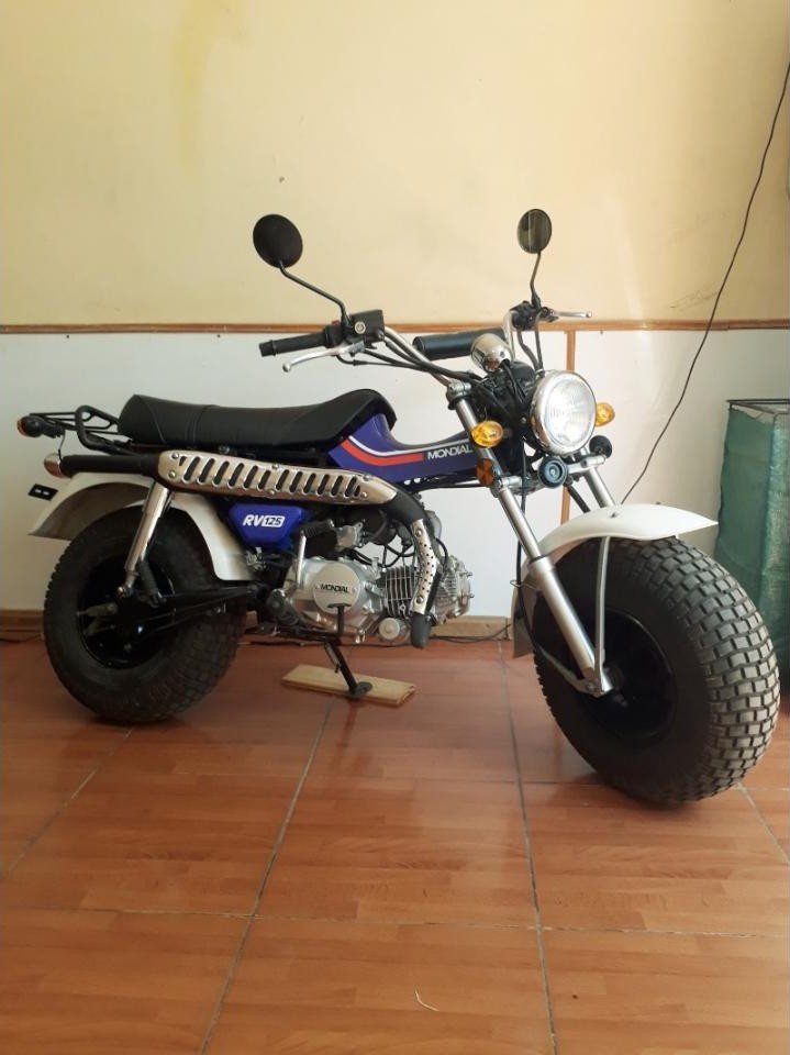 Miniatura 9