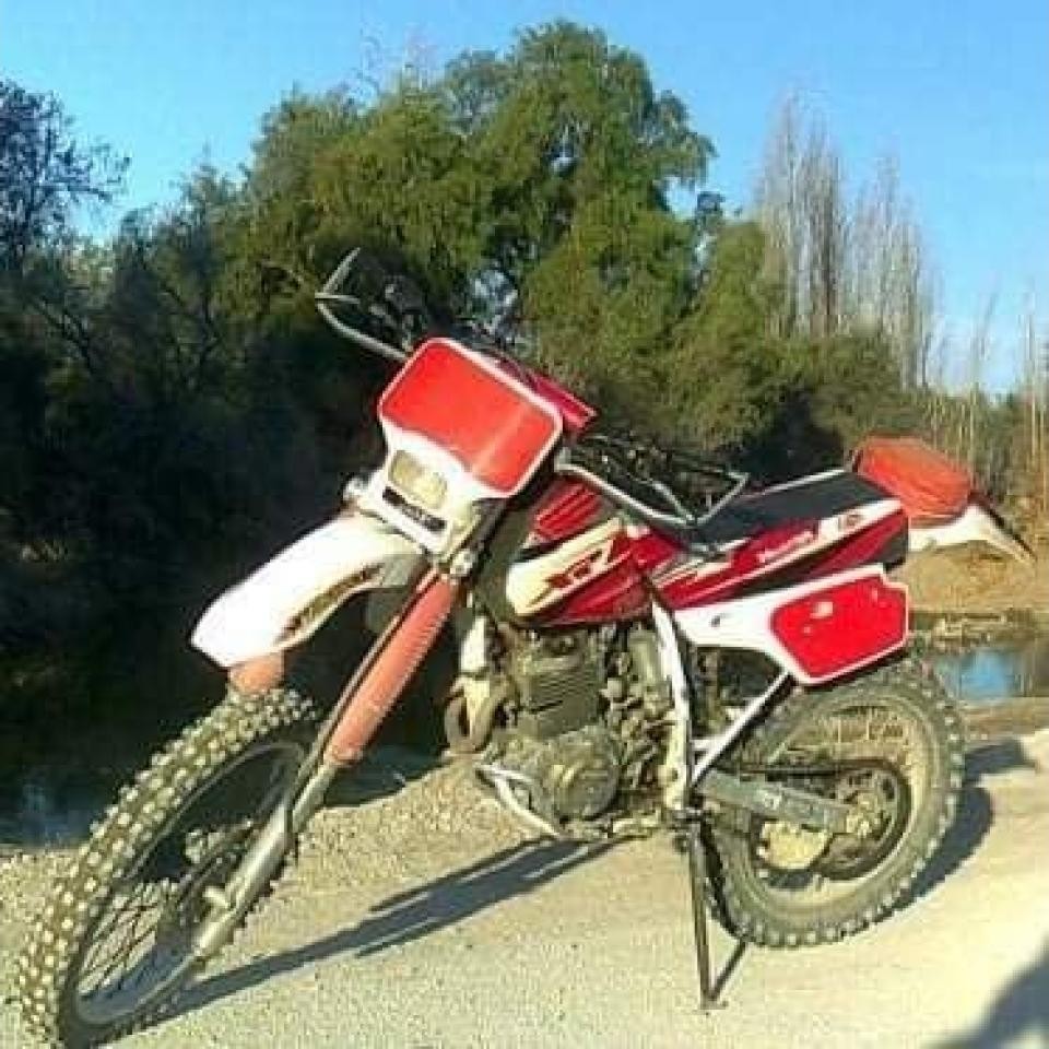 Miniatura 7