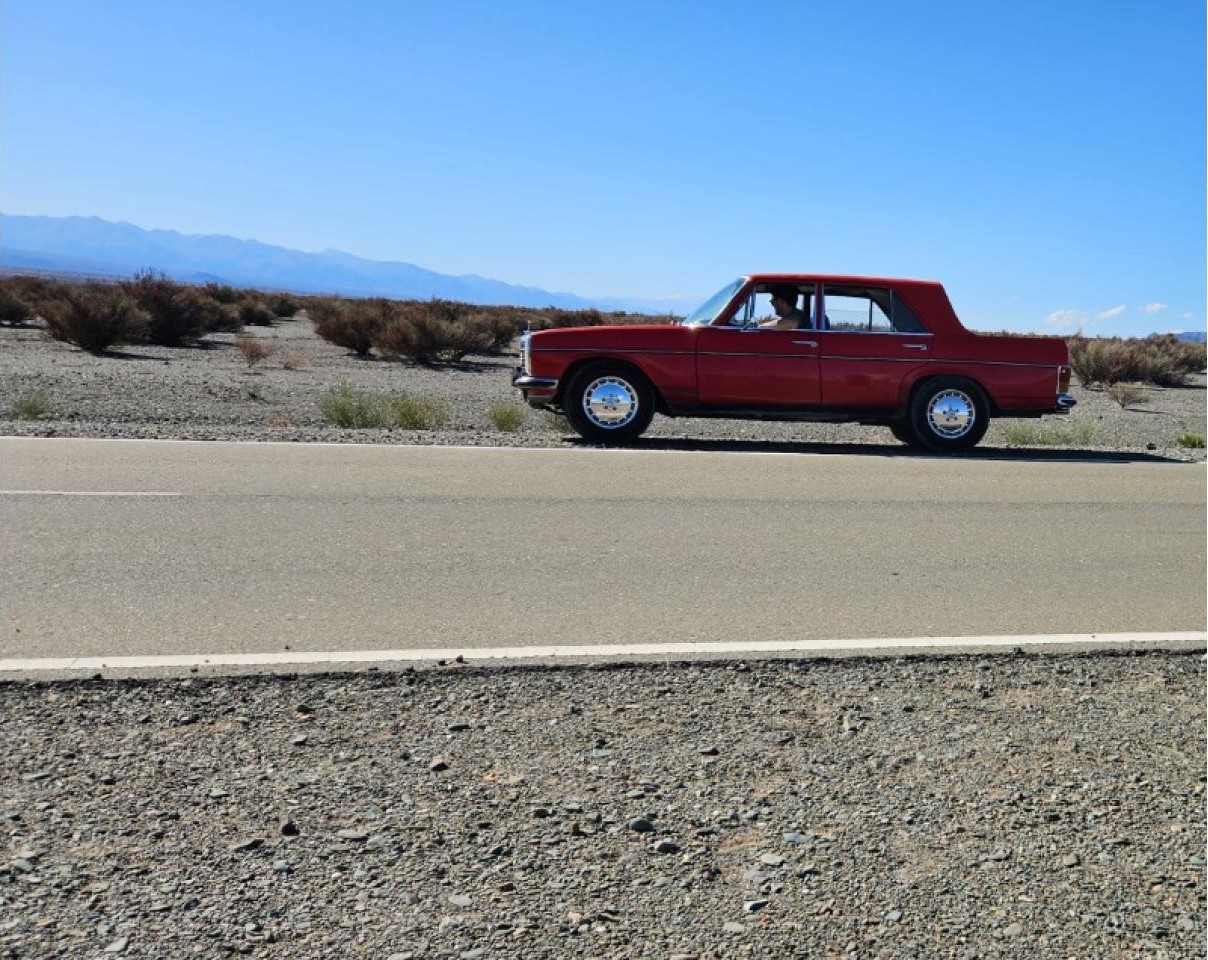 Mercedes Benz 220 D Pick Up 1974