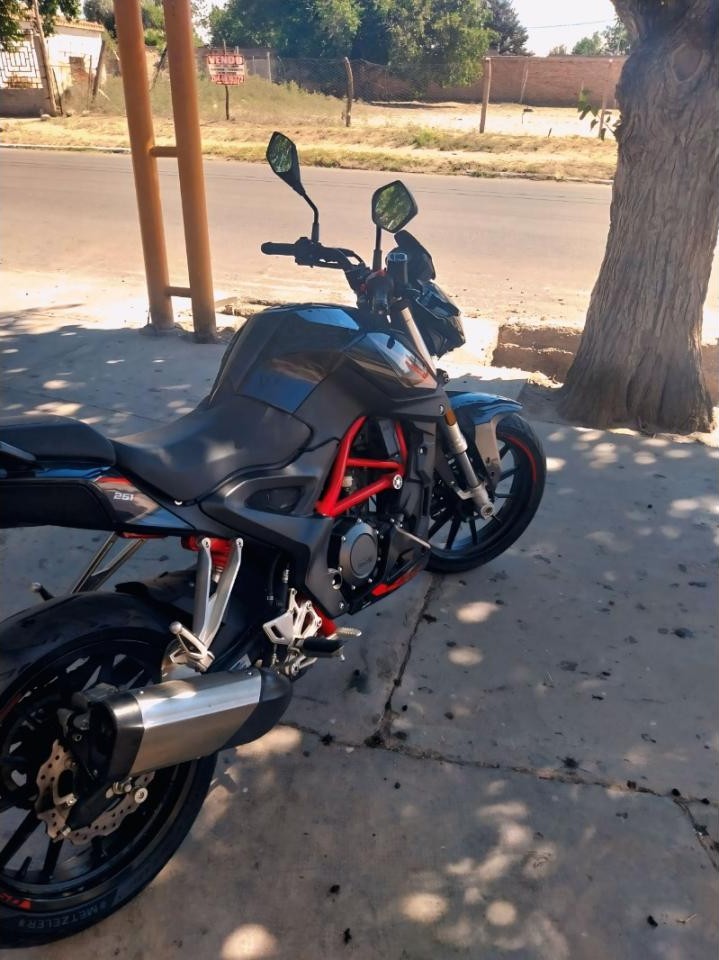 Benelli 251s