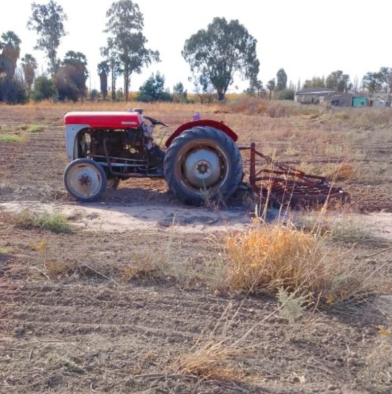Tractor Ferguson