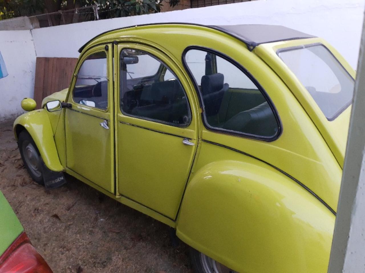 Miniatura 4