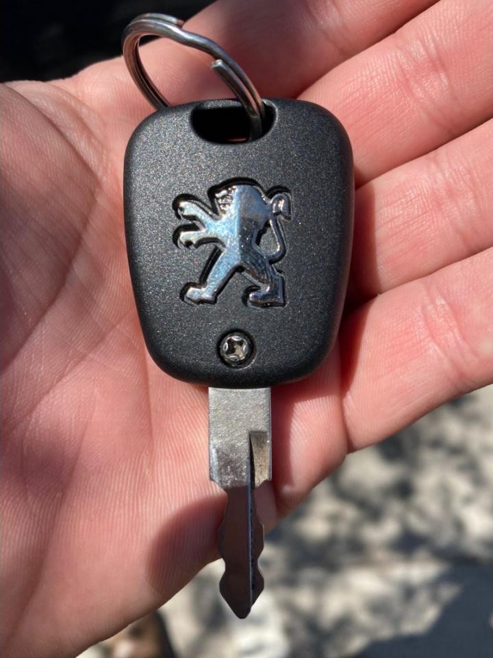 Miniatura 6