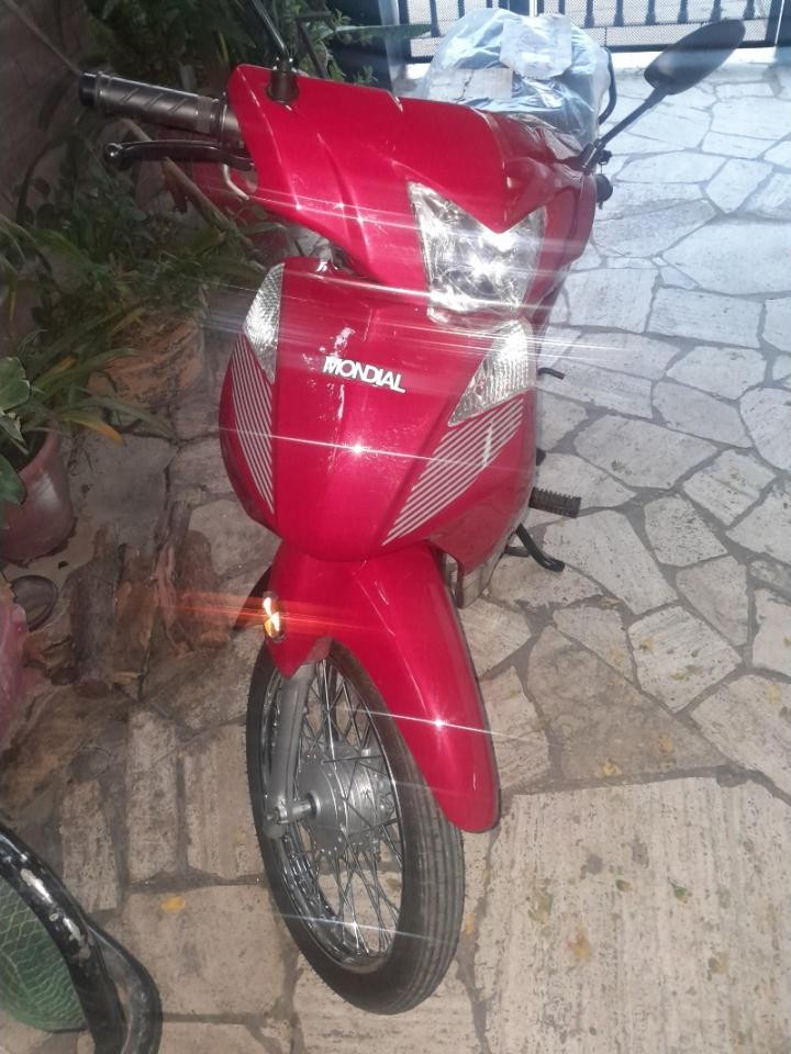 Miniatura 5