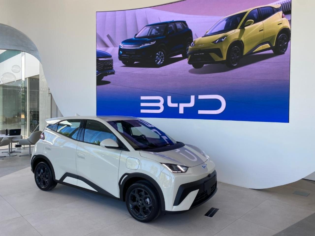 Byd Dolphin Mini Gl & Gs Yacopini Oficial