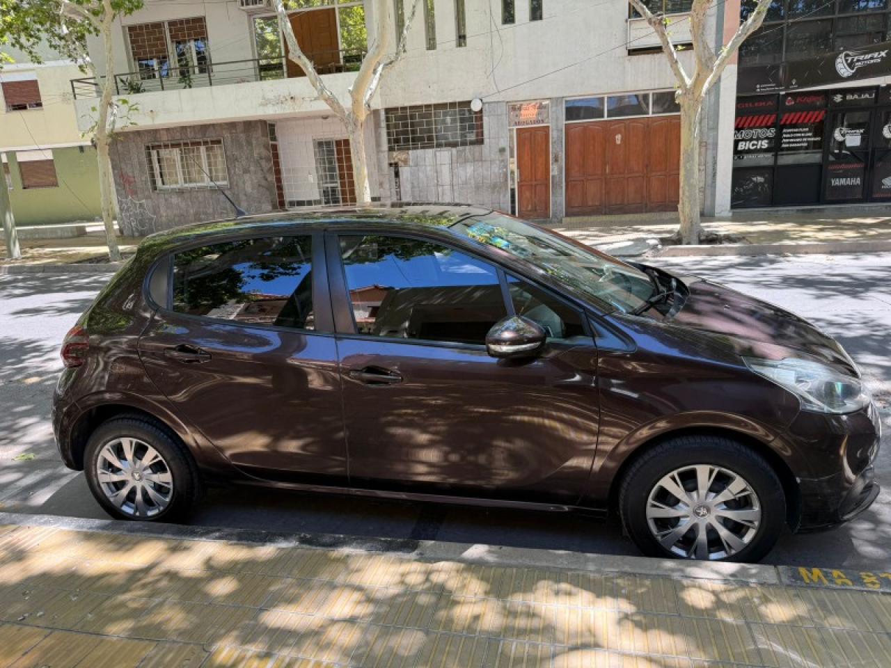 Miniatura 5