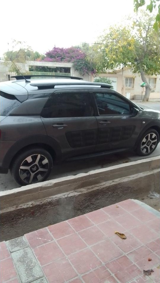 Citroen C4 Cactus
