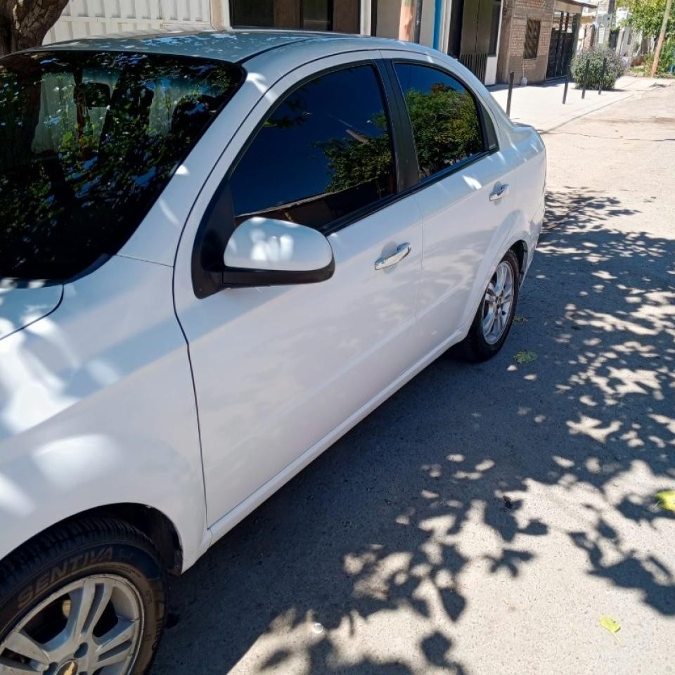 Miniatura 8