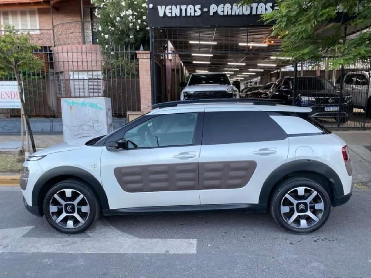 Miniatura 8