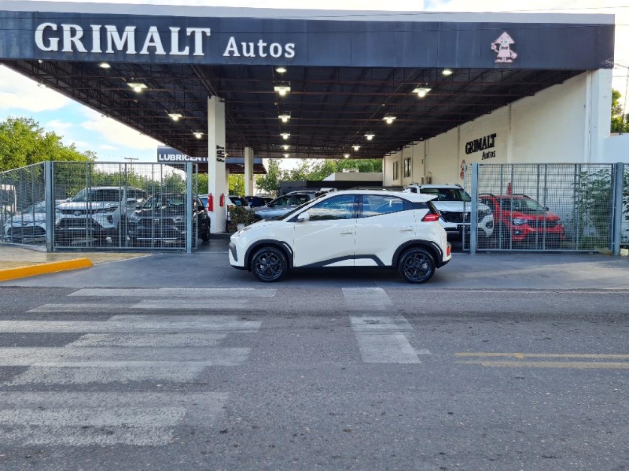 Miniatura 7