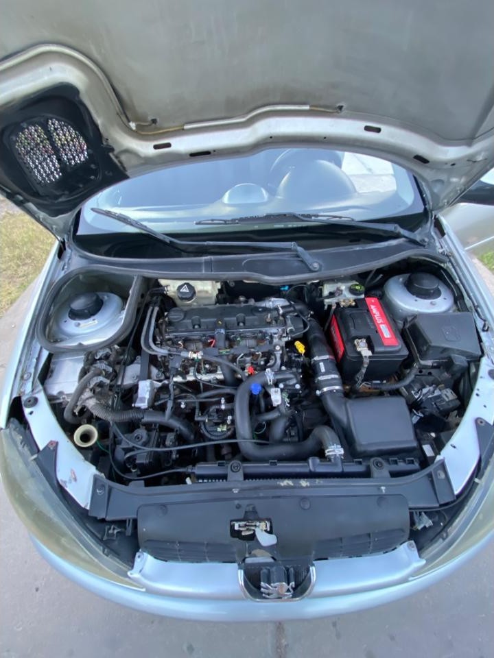 Miniatura 9