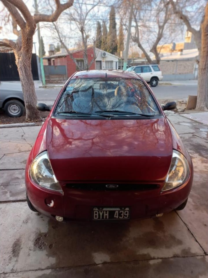 Miniatura 7