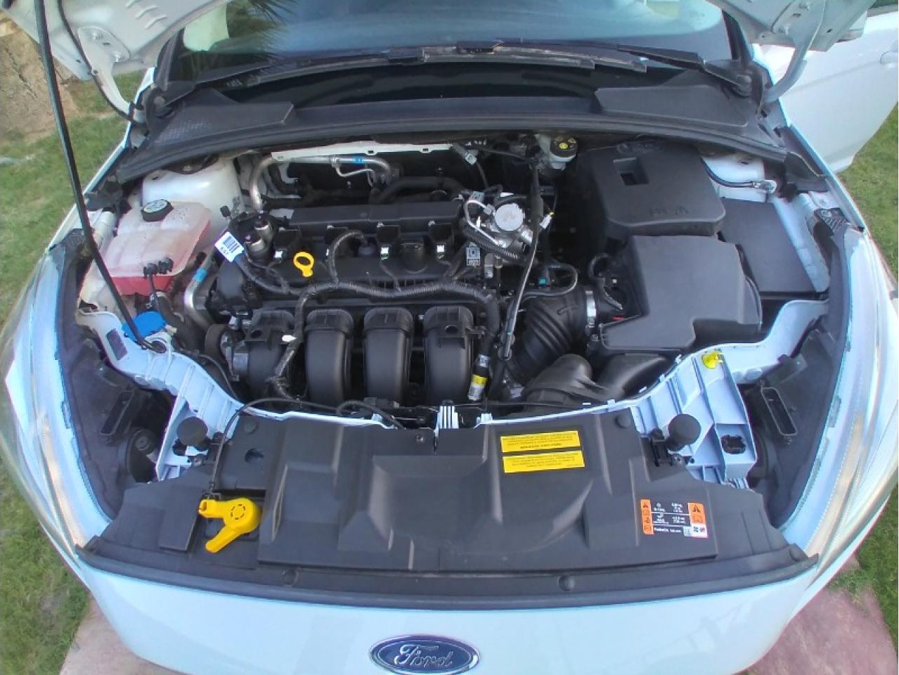 Miniatura 5