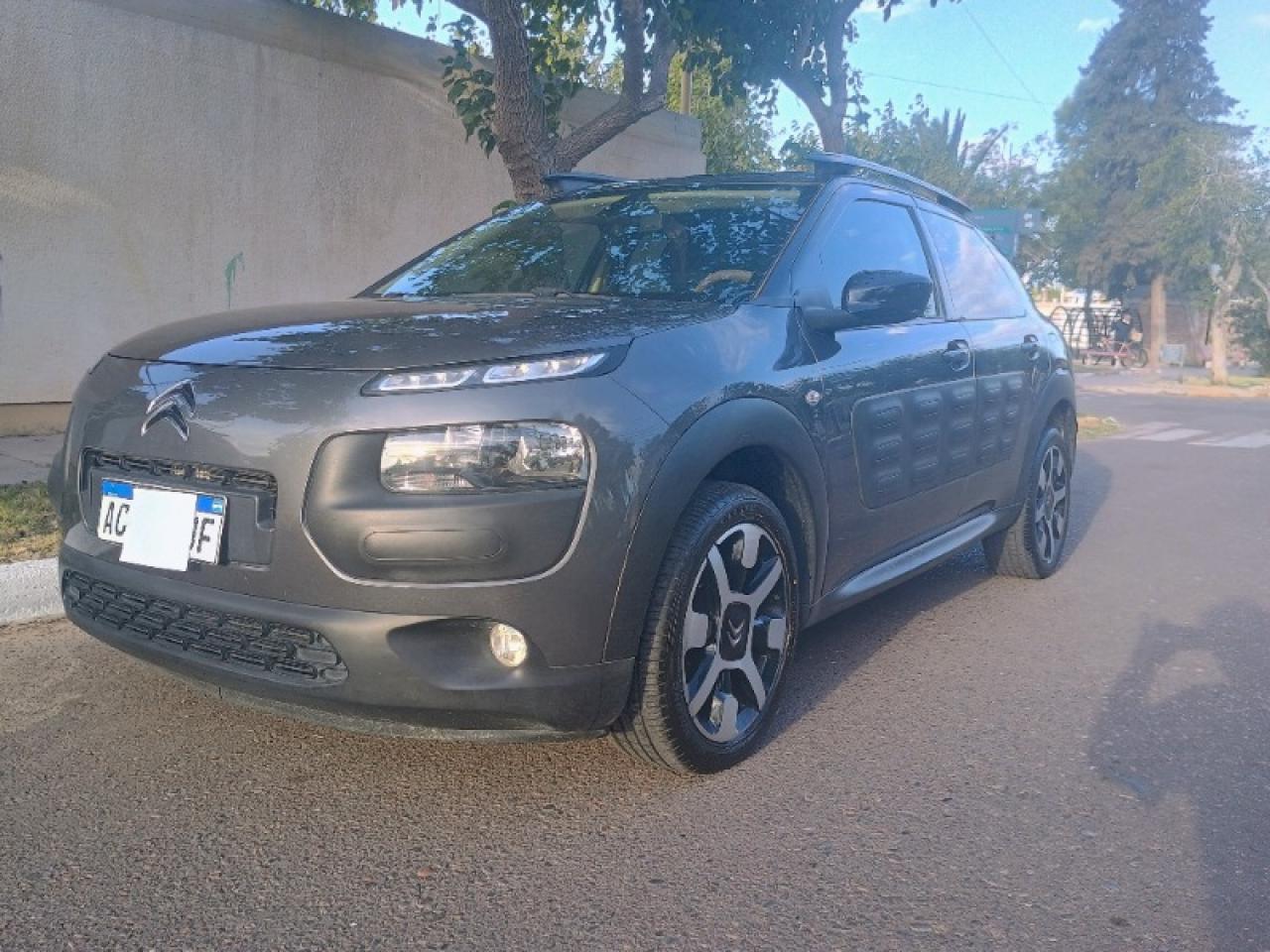 Miniatura 7