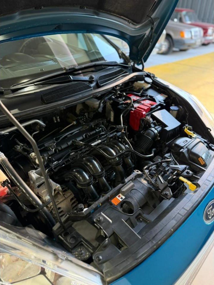 Miniatura 8