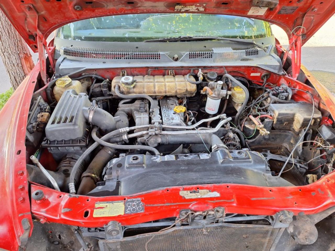 Miniatura 7