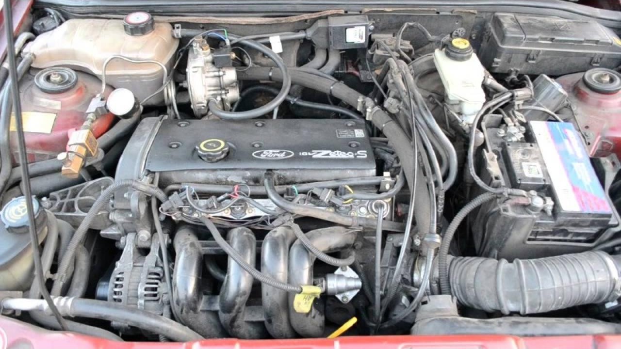 Miniatura 8
