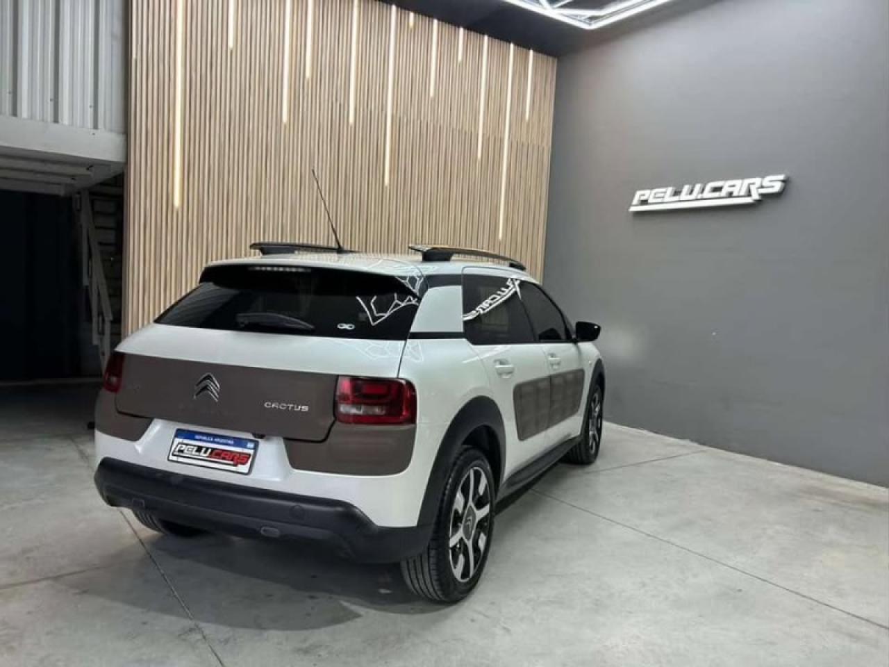 Miniatura 7