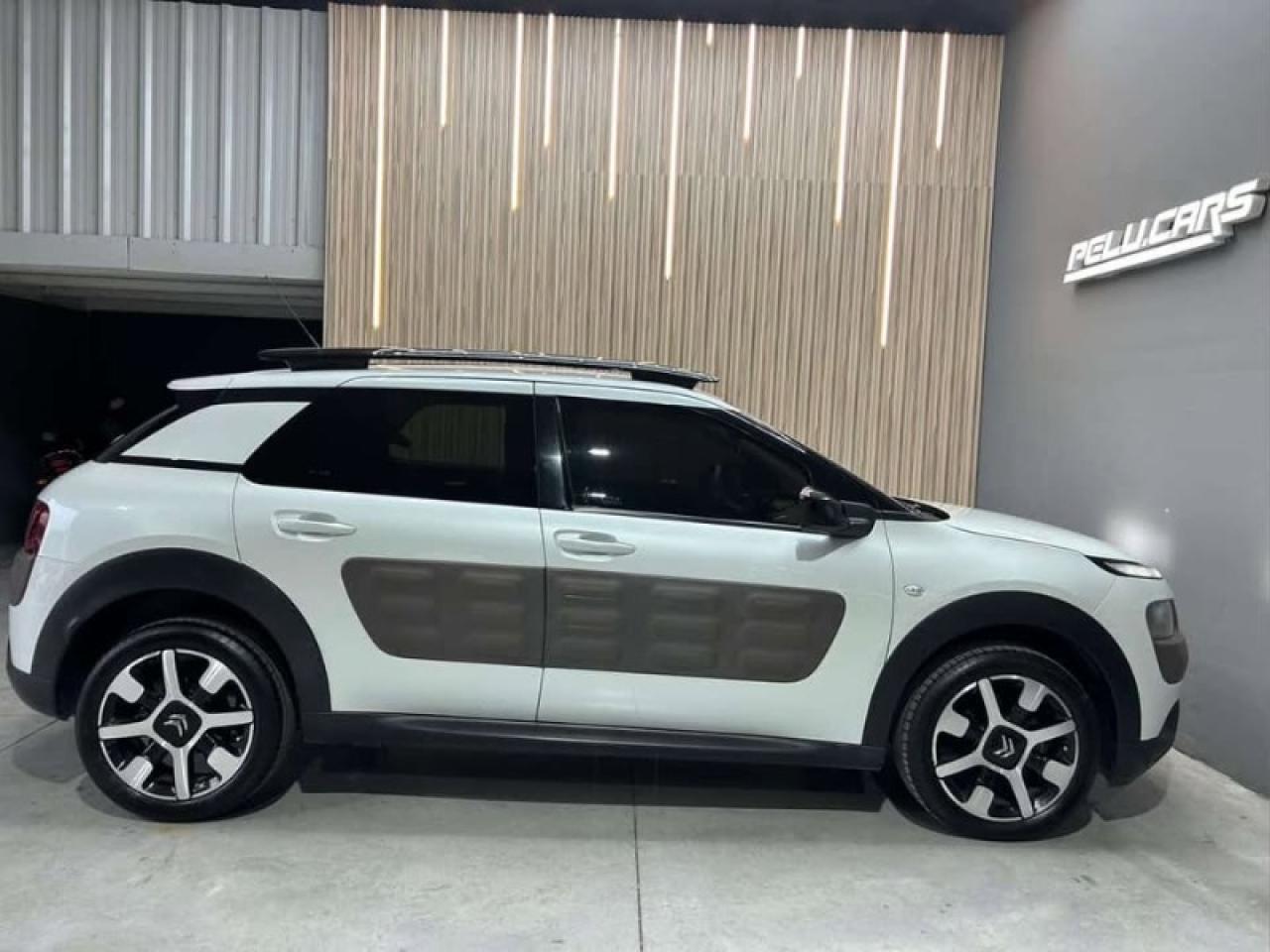 Miniatura 8