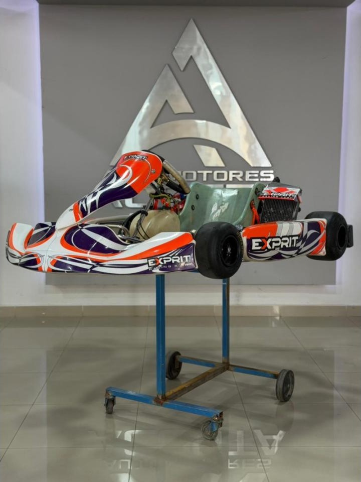 Kart Rotax 125cc 2017 equipado Con Mychron (telemetría Y Cronómetro Profesional)✅🔥