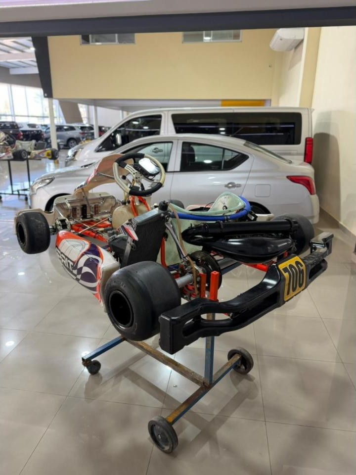Miniatura 8