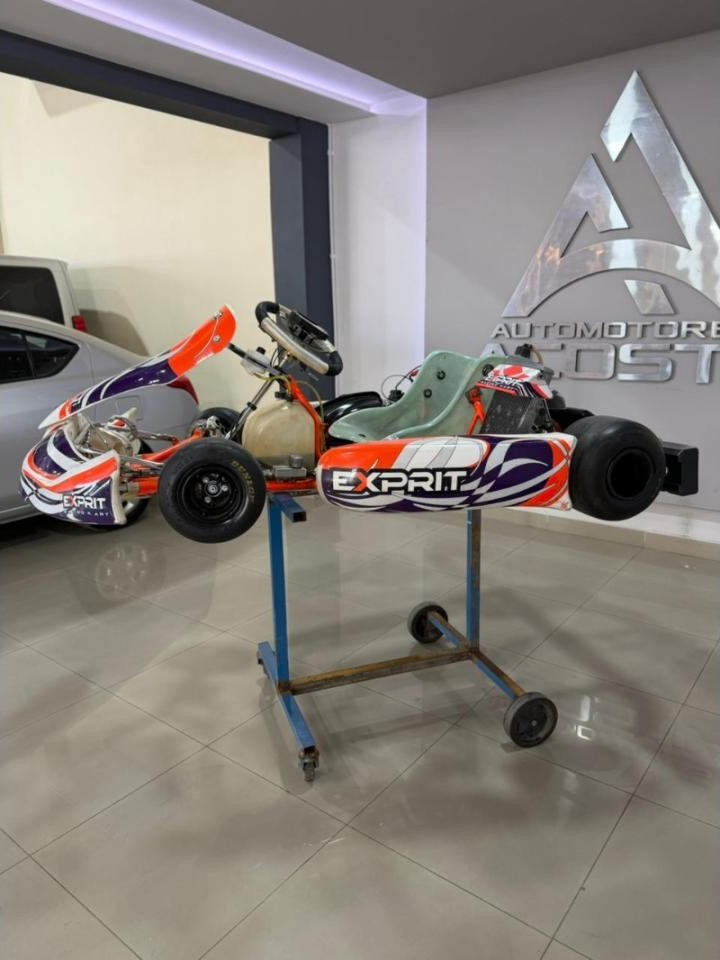Miniatura 9