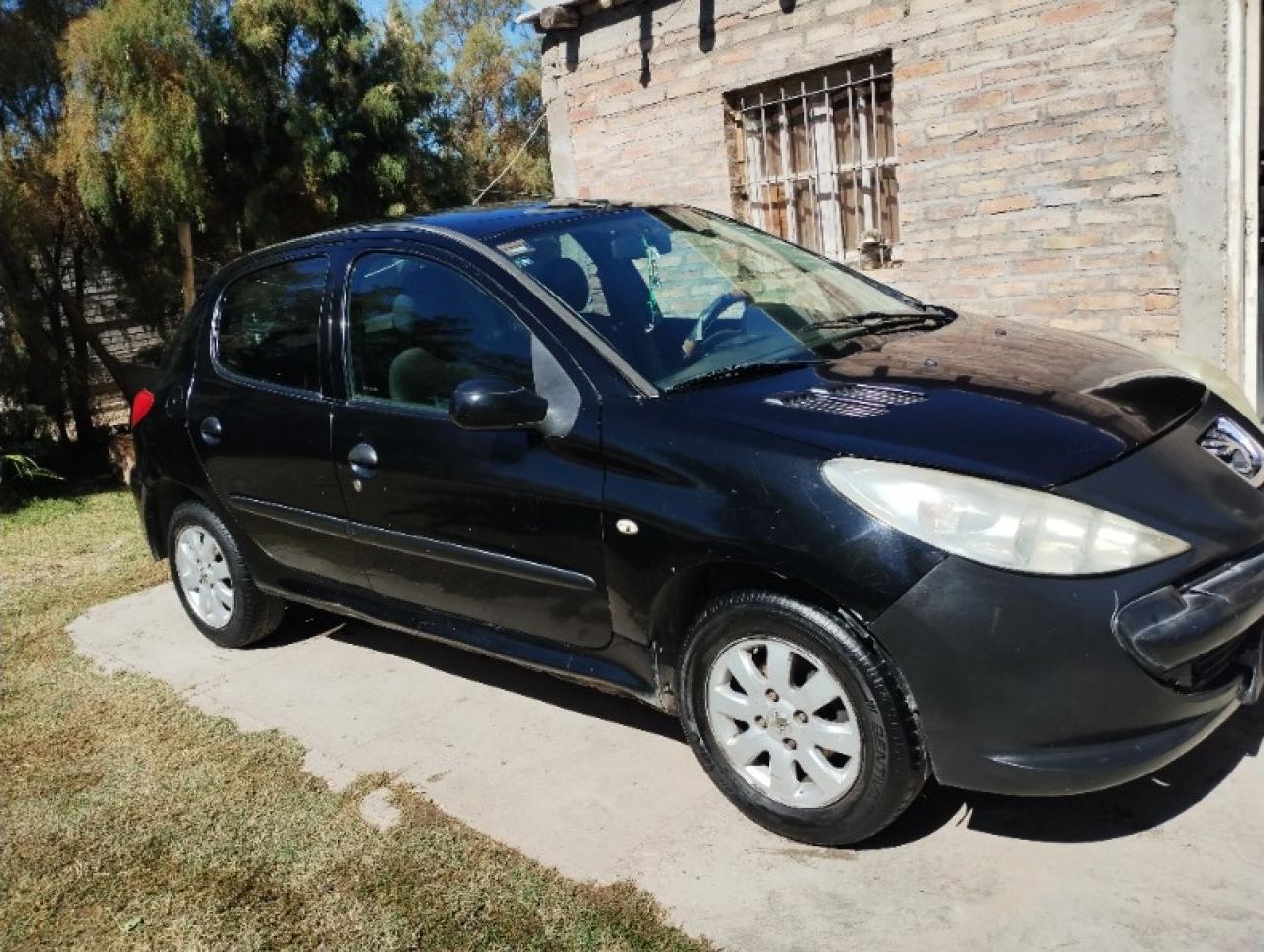 Miniatura 6