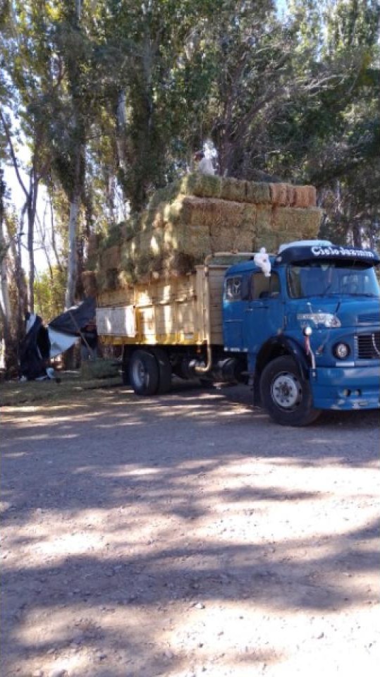 Mercedes Benz Con Volcador - Modelo 78´ - Perfecto Estado - Consultas 264 519 3000