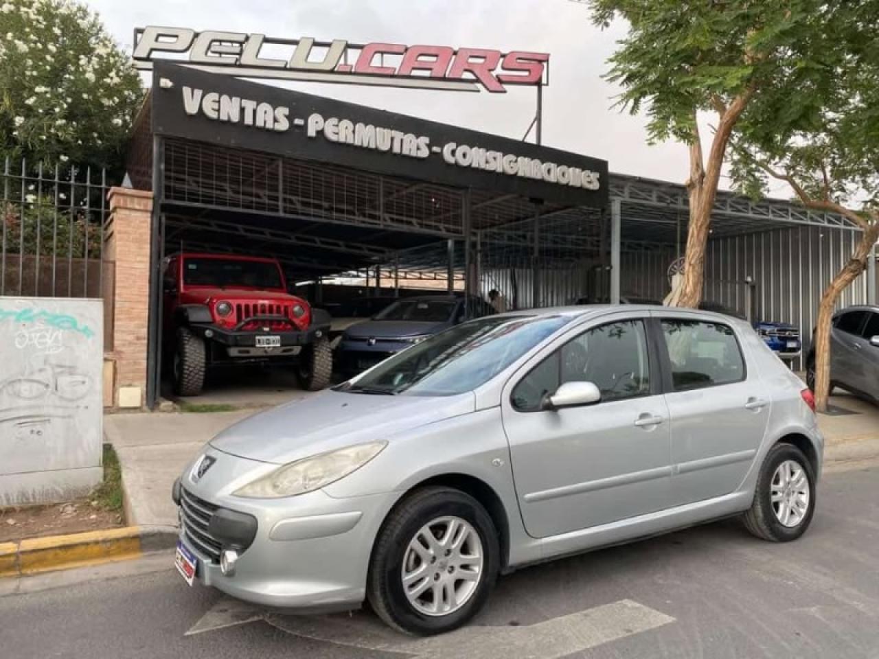 Peugeot 307 Xs 1.6 2010