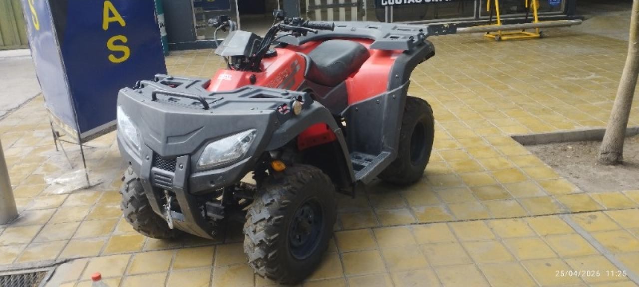 Miniatura 6