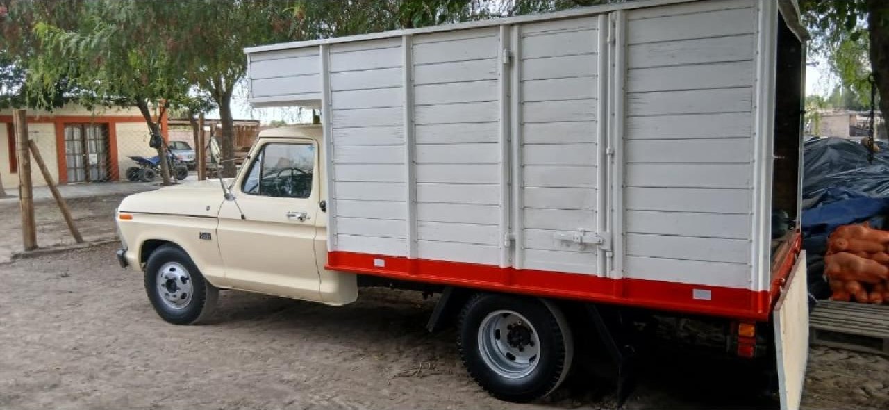 Miniatura 6