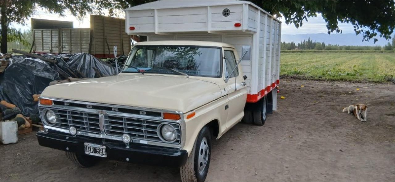 Miniatura 8