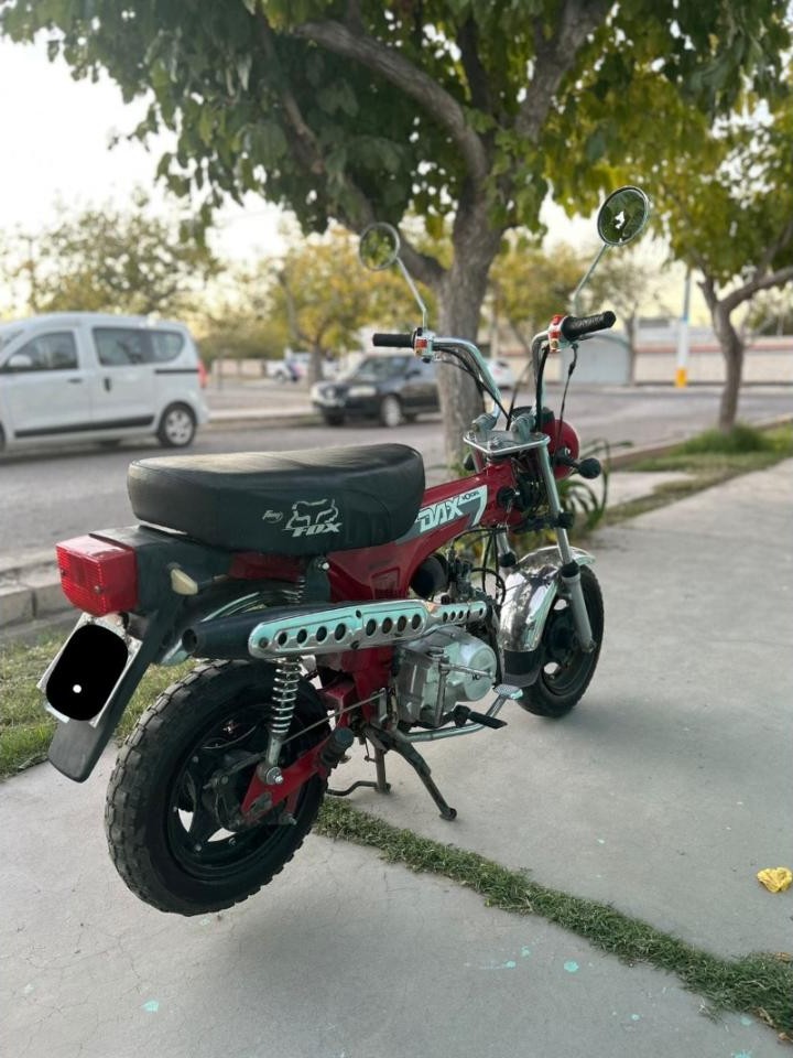Miniatura 5