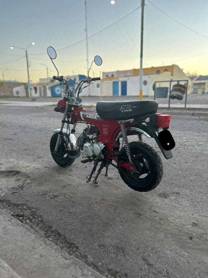 Miniatura 7