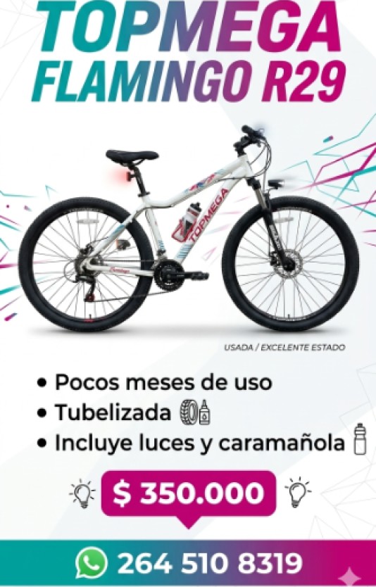 Bici Rodado 29 Talle M Topmega