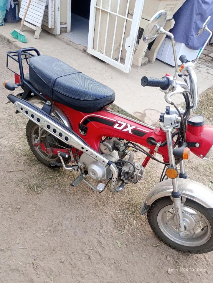 Miniatura 2